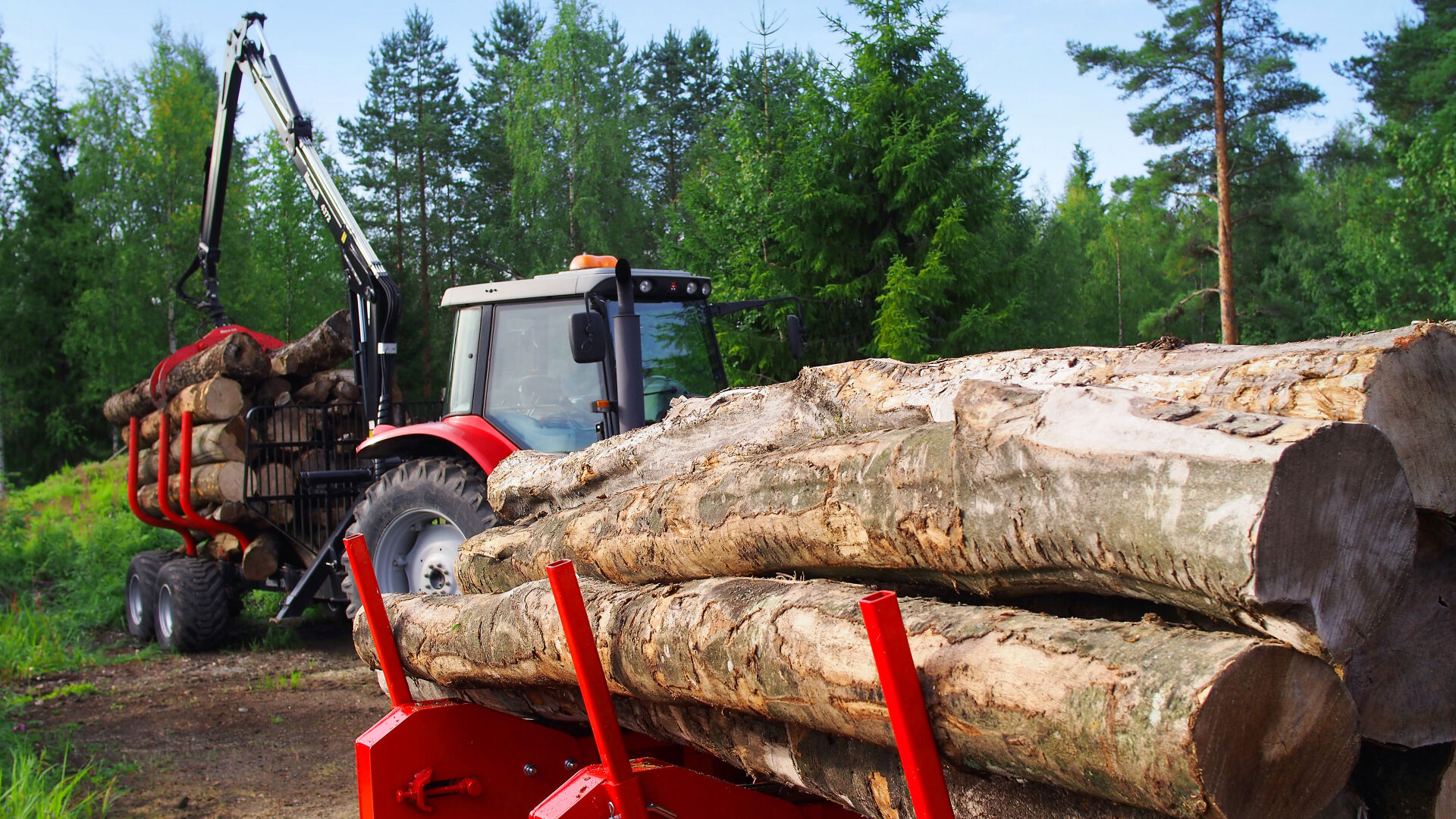 Moving logs with a tractor, professional firewood production setup.
