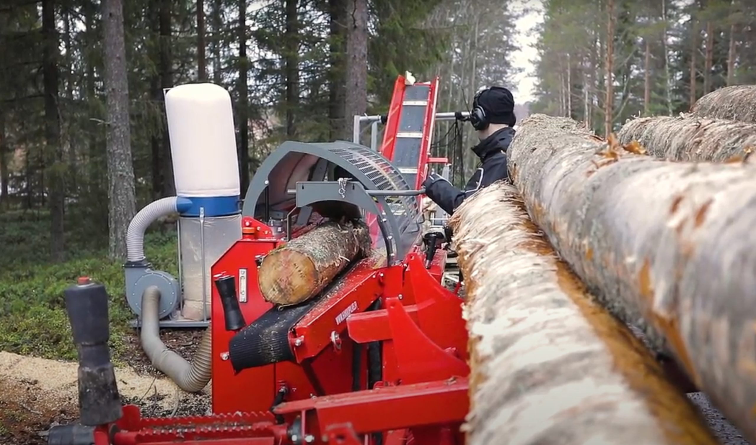 Firewood making in a forest with a modern processor
