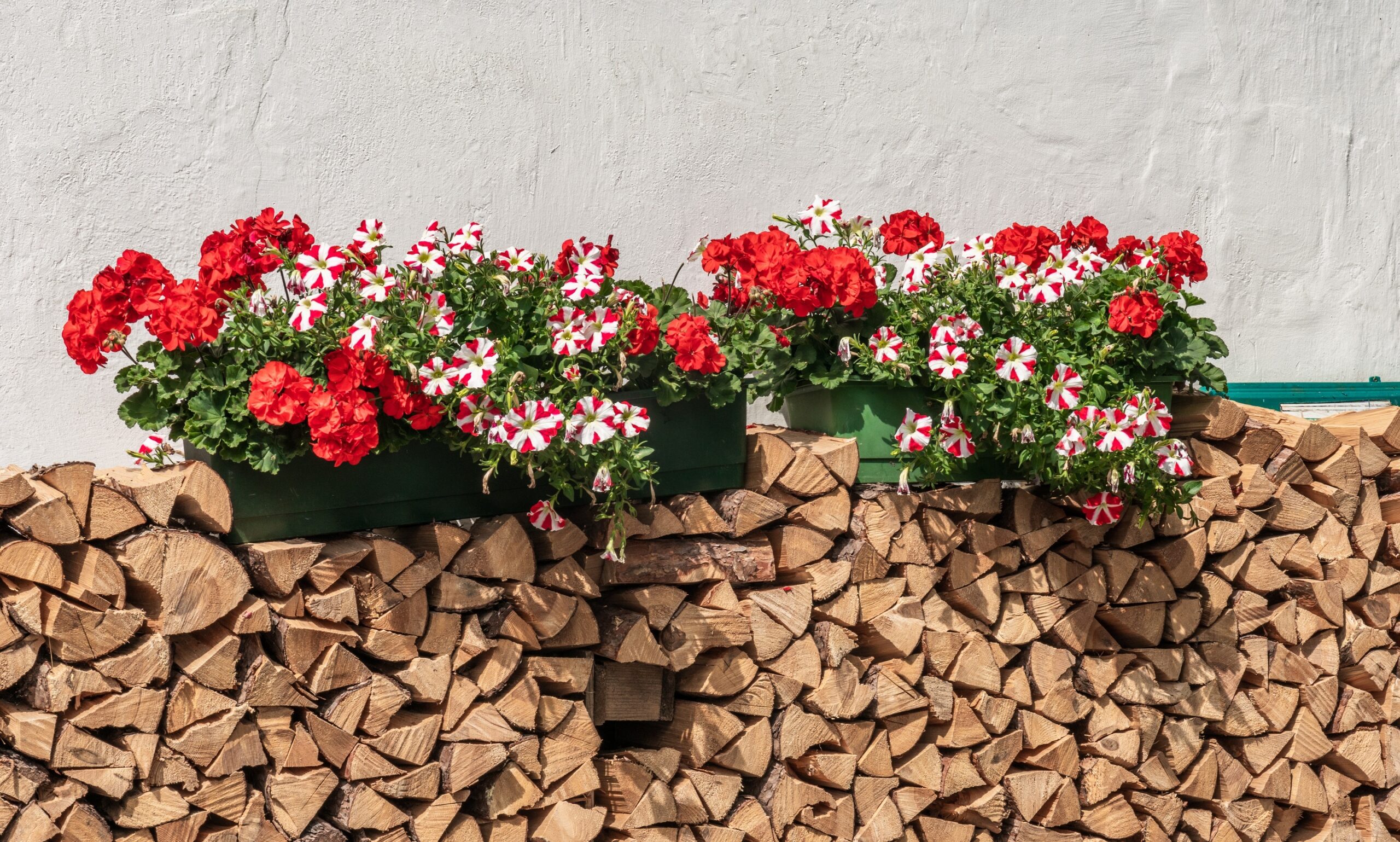 AdobeStock 453159533qq 1 scaled