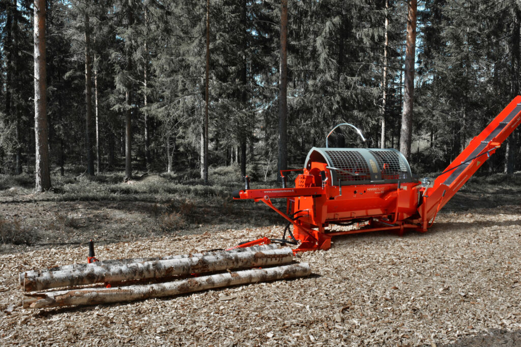 Raven30 in the forest 2 jpg