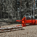 Raven30 in the forest 2 jpg